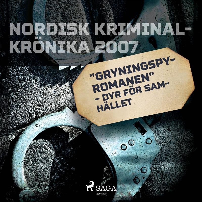 'Gryningspyromanen' – dyr för samhället – Ljudbok