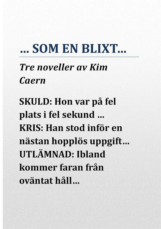 …SOM EN BLIXT… – E-bok