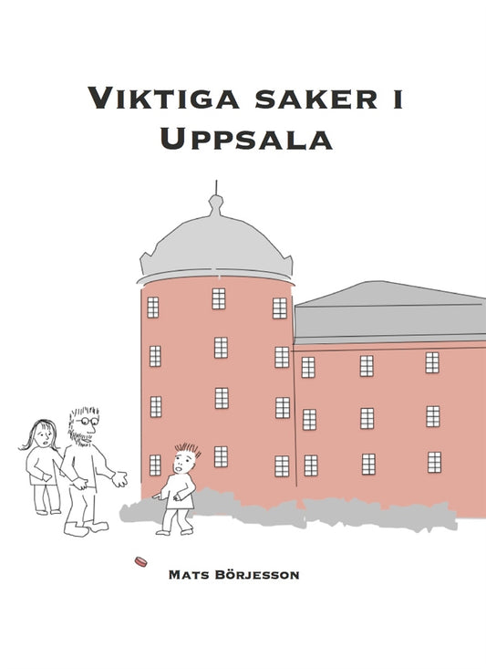 Viktiga saker i Uppsala – E-bok