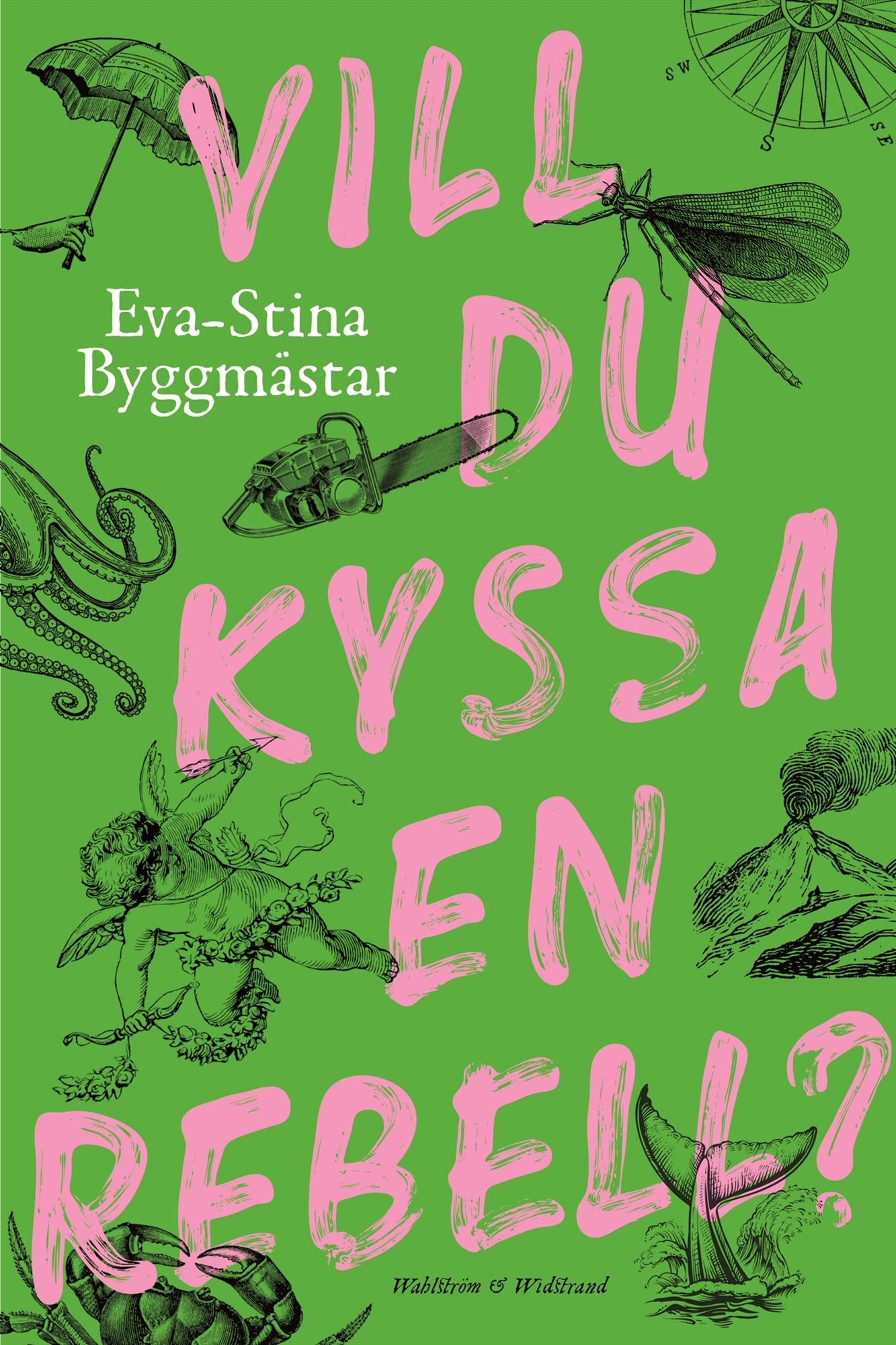 Vill du kyssa en rebell? – E-bok