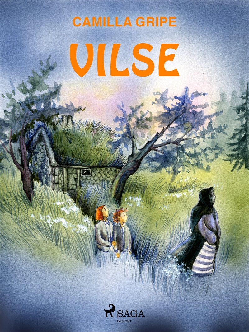 Vilse – E-bok