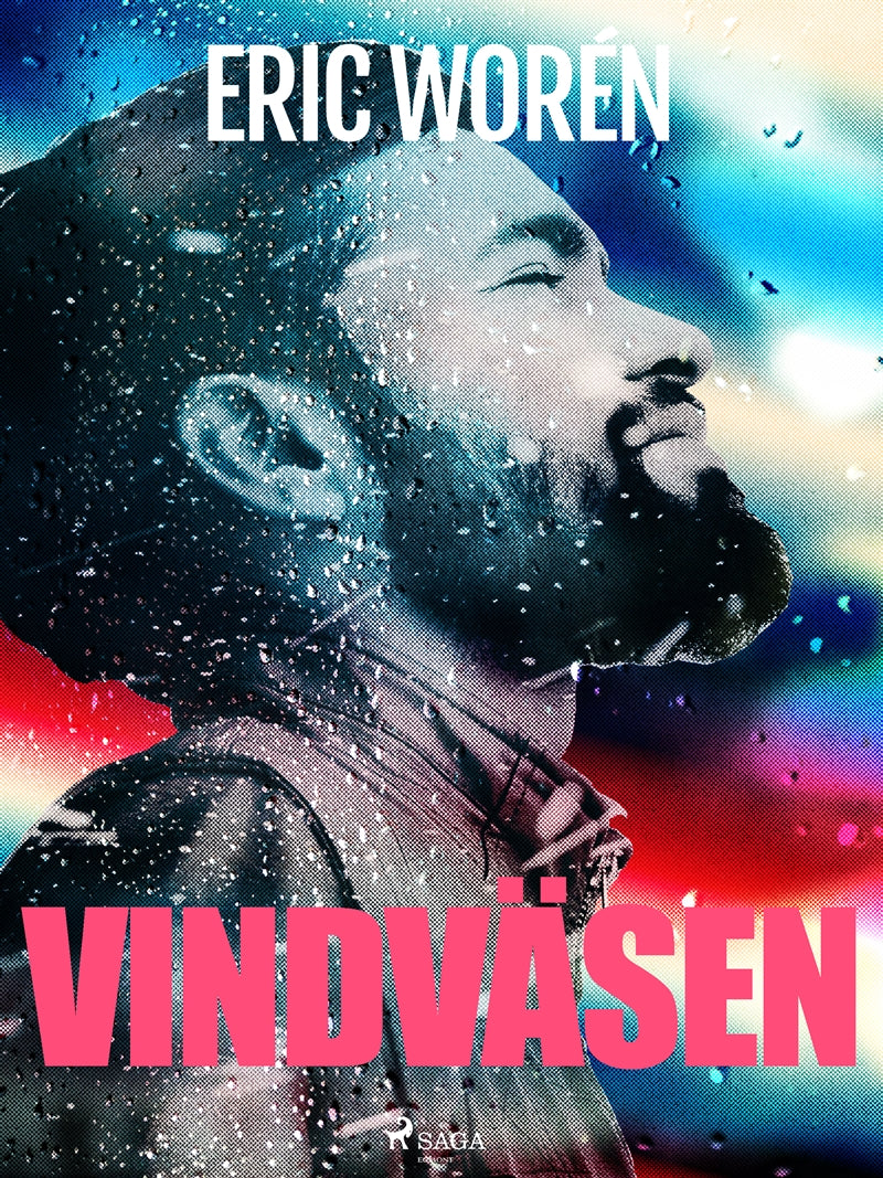 Vindväsen – E-bok