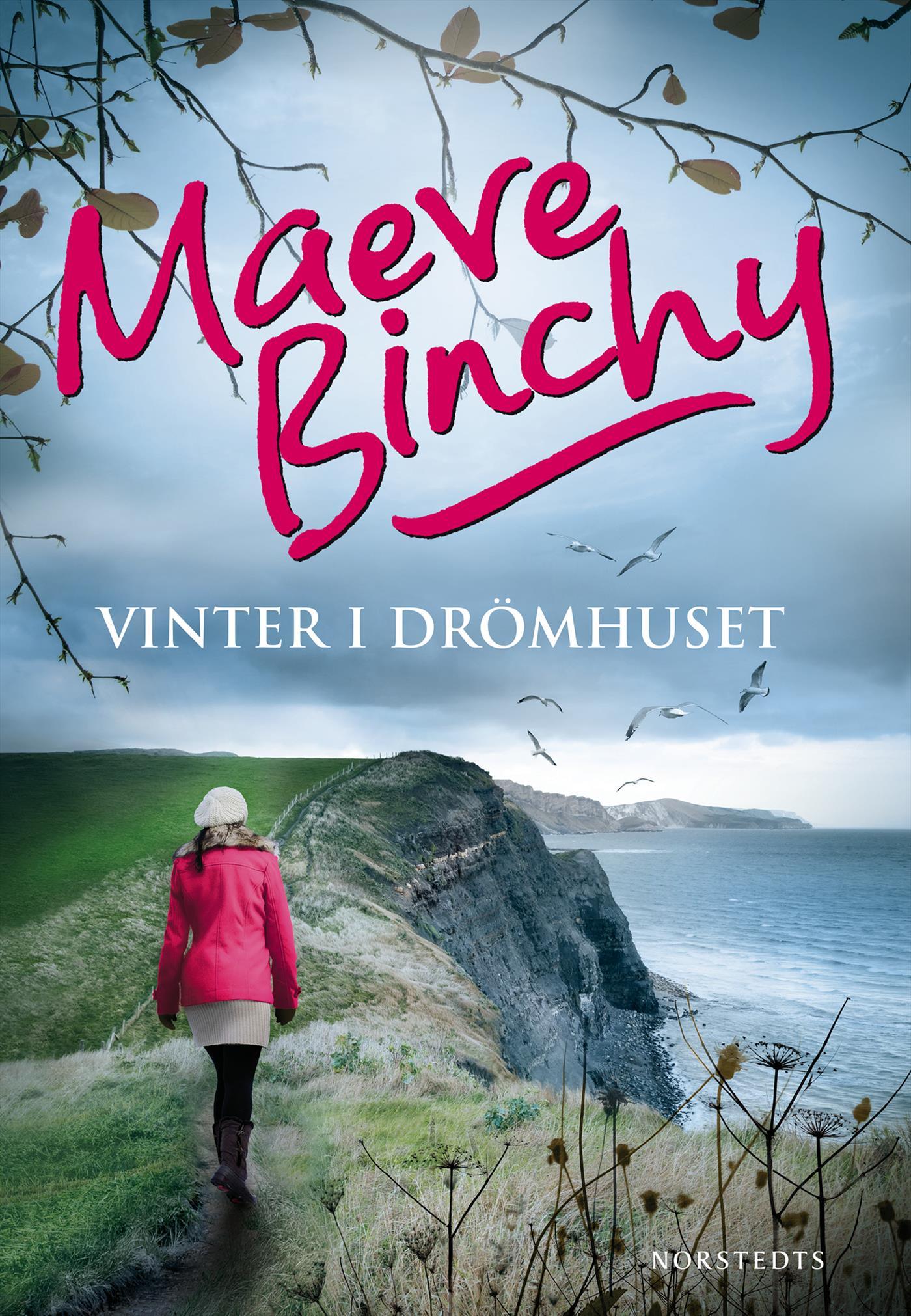 Vinter i drömhuset – E-bok