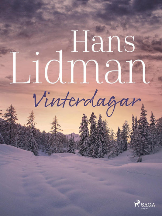 Vinterdagar – E-bok