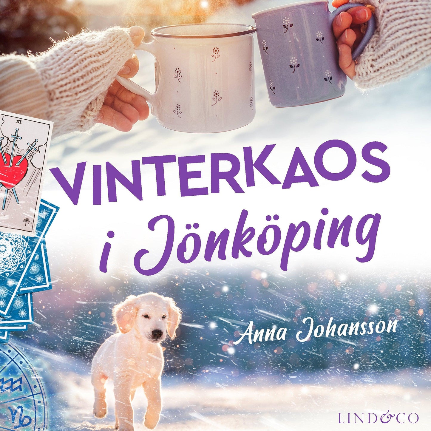 Vinterkaos i Jönköping  – Ljudbok