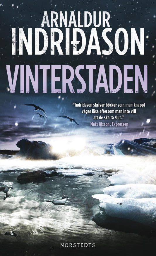 Vinterstaden – E-bok