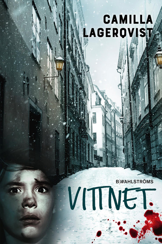 Vittnet – E-bok