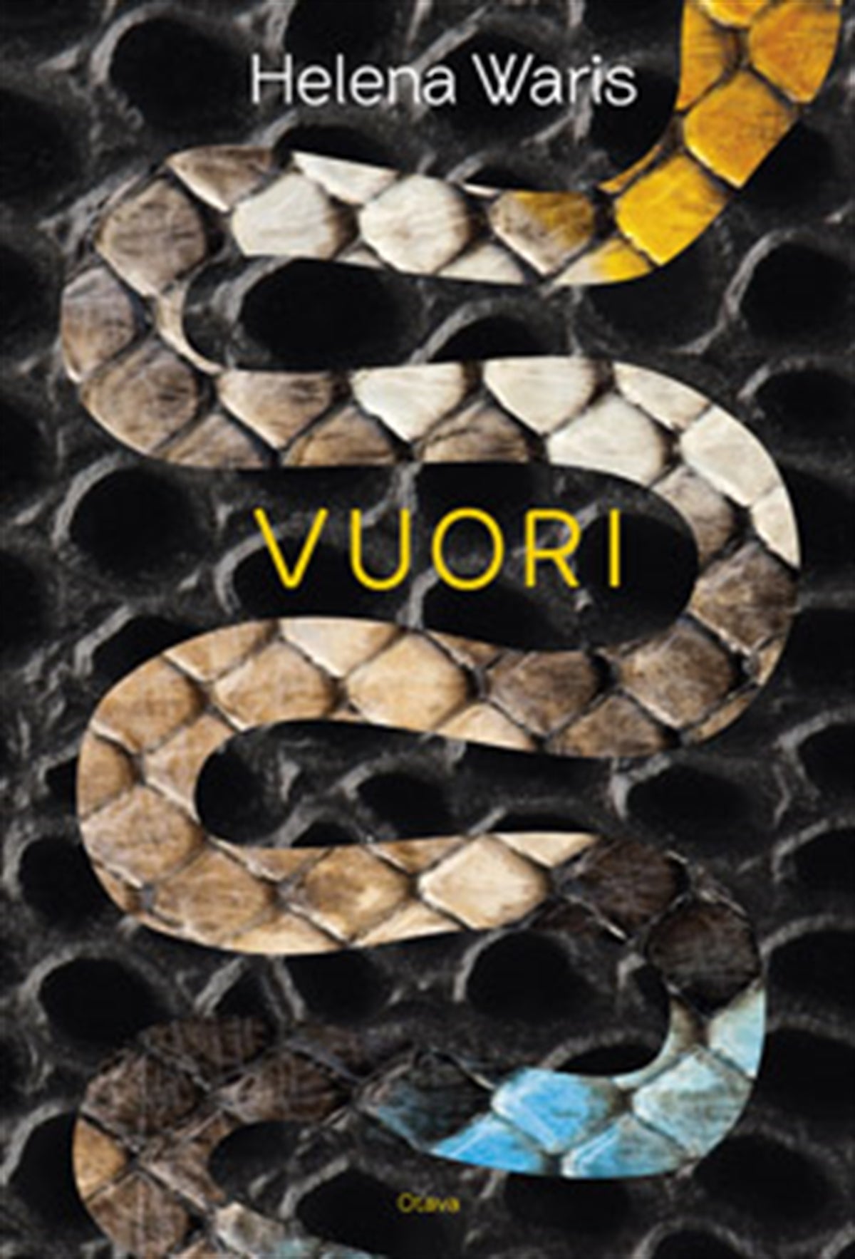 Vuori – E-bok