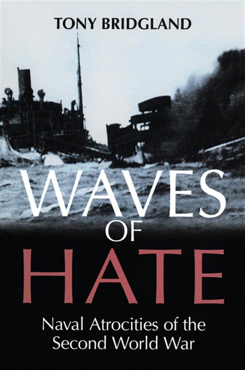 Waves of Hate – E-bok