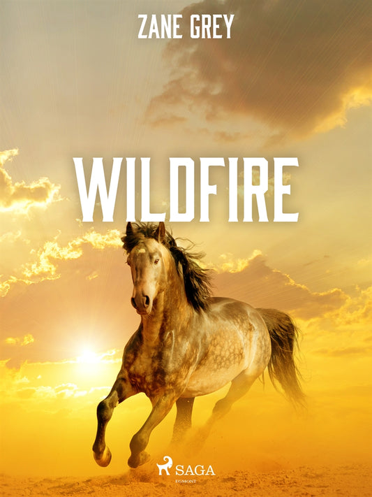 Wildfire – E-bok