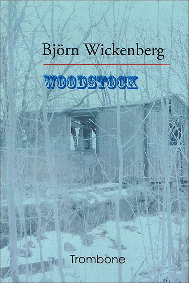 Woodstock – E-bok