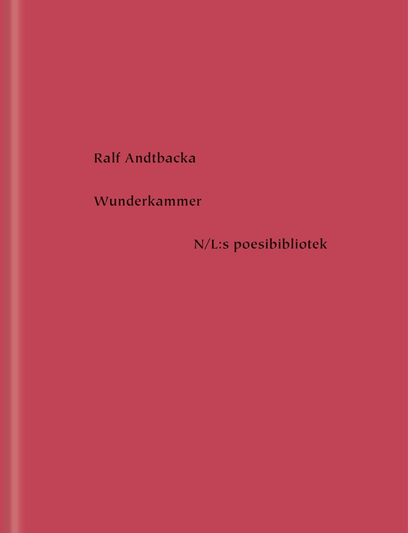 Wunderkammer – E-bok