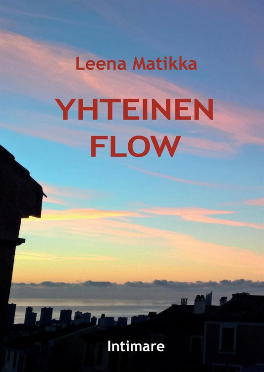 Yhteinen flow – E-bok