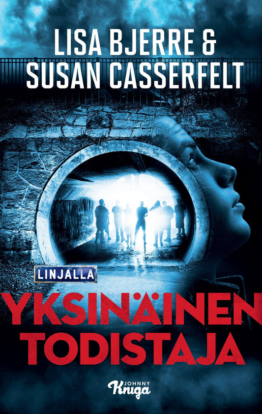 Yksinäinen todistaja – E-bok