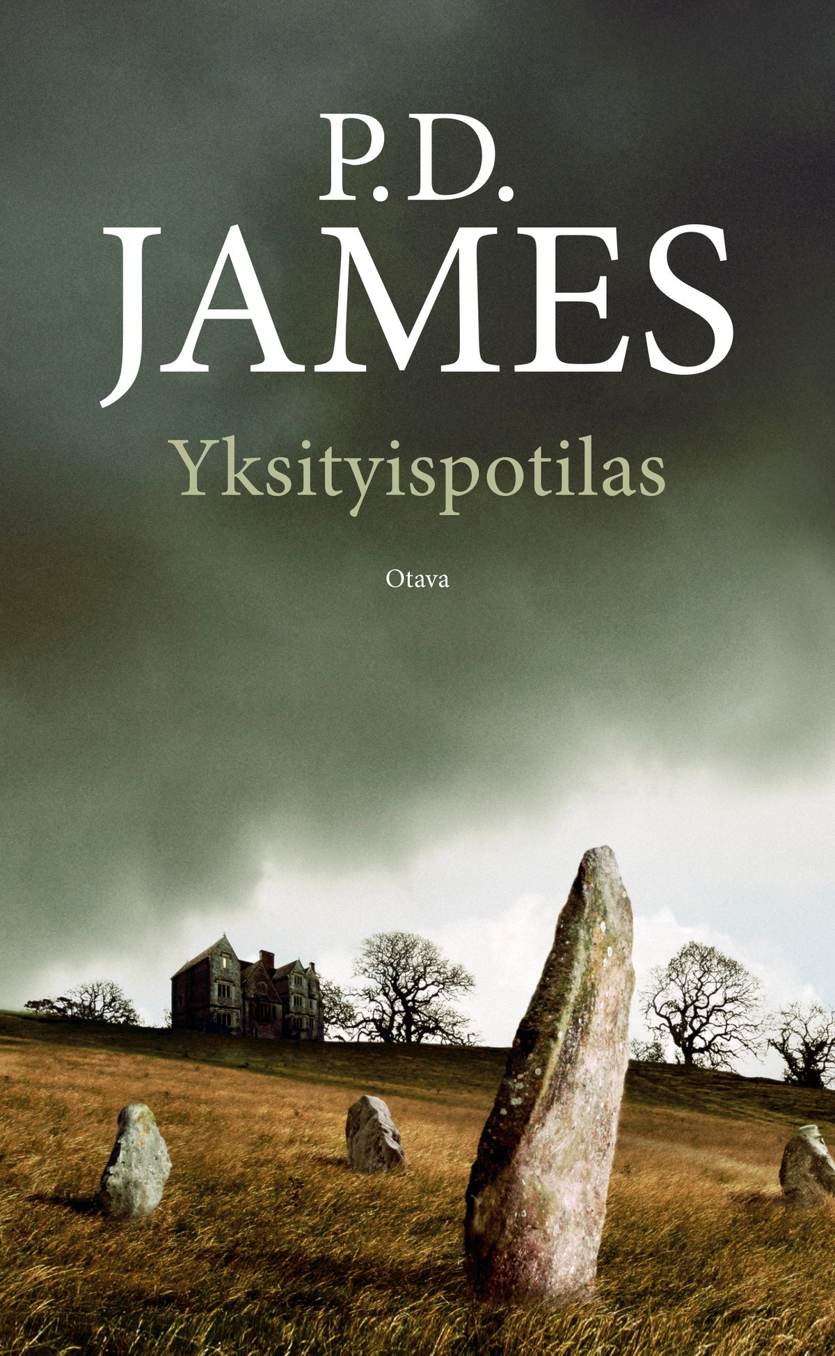 Yksityispotilas – E-bok