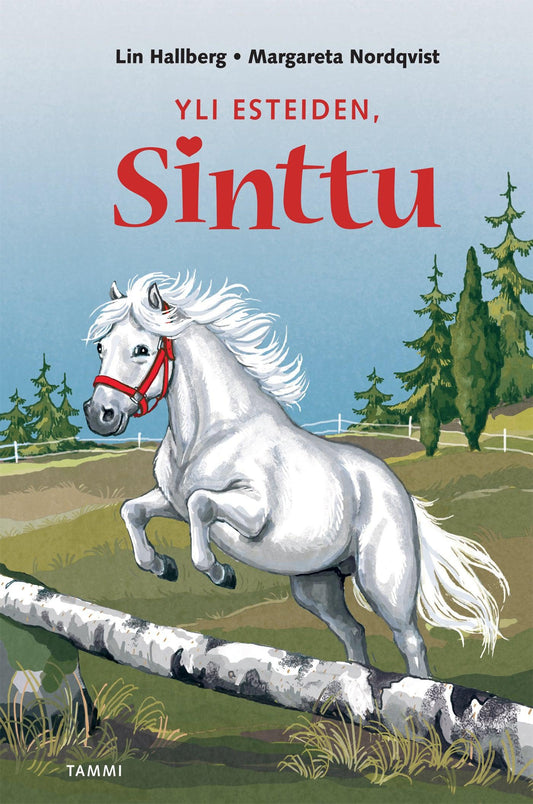 Yli esteiden, Sinttu – E-bok