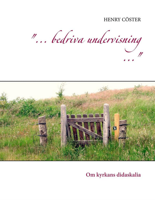 "... bedriva undervisning ...": Om kyrkans didaskalia – E-bok